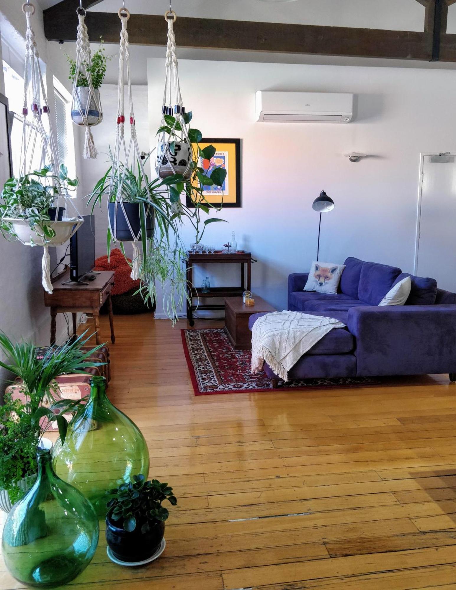 Apartment Pips On Mitchell - Beautiful Historic